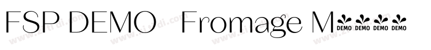 FSP DEMO   Fromage M字体转换